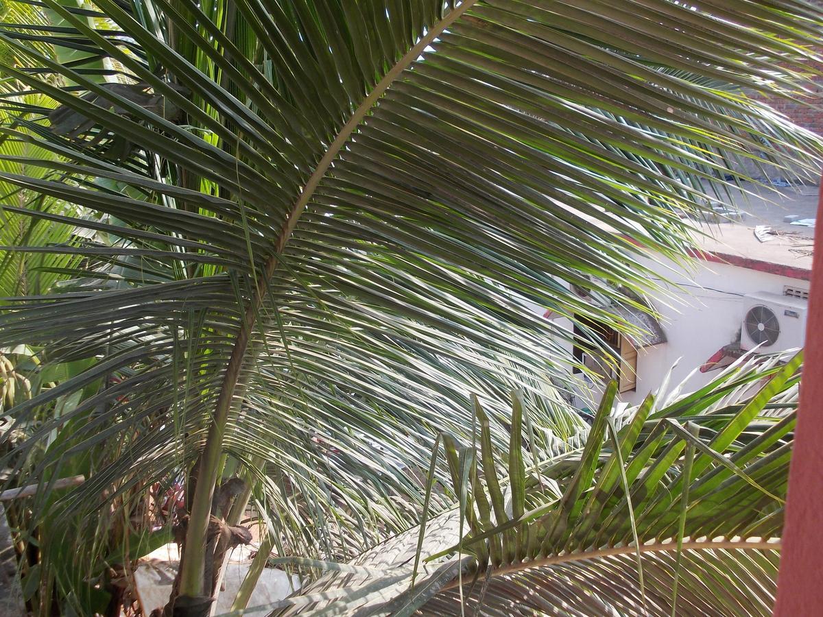 Hotel Sun Plaza-Near Konark Sun Temple- Couple Friendly-Best Choice Of Travellers Exterior foto